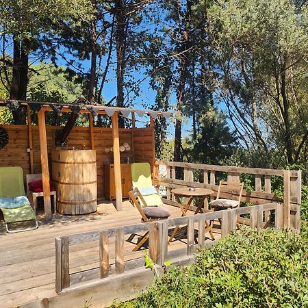 Coin Exotique Villa Casaeva Porto Vecchio Exterior foto